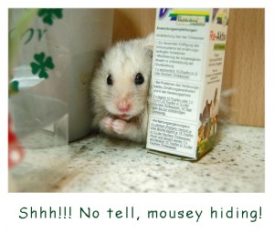 White Hamster Hiding