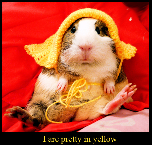Pretty in Yellow