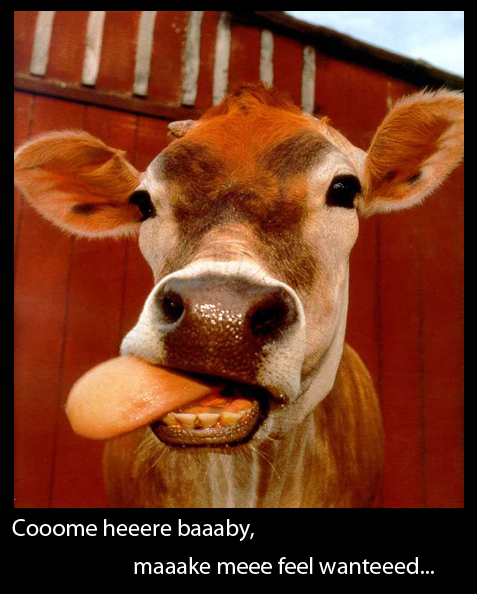 Cow with Desires