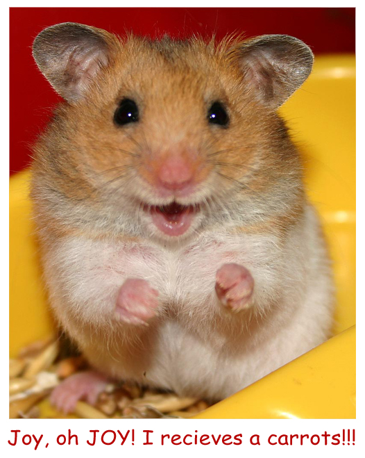 Joyful Hamster