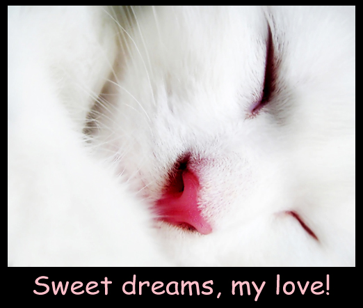 Kitten - Sleeping Beauty