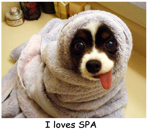 Wrapped in a Towel Doggy