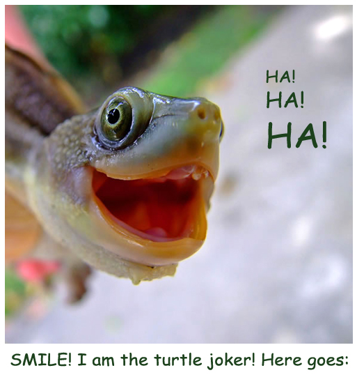 Turtle Joker