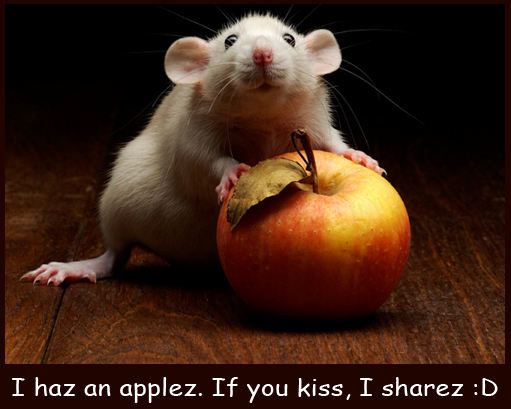 The Mouse Has an Apple