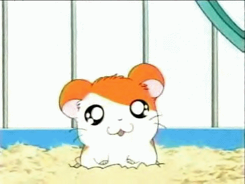 Cute Animated Hamster Gif
