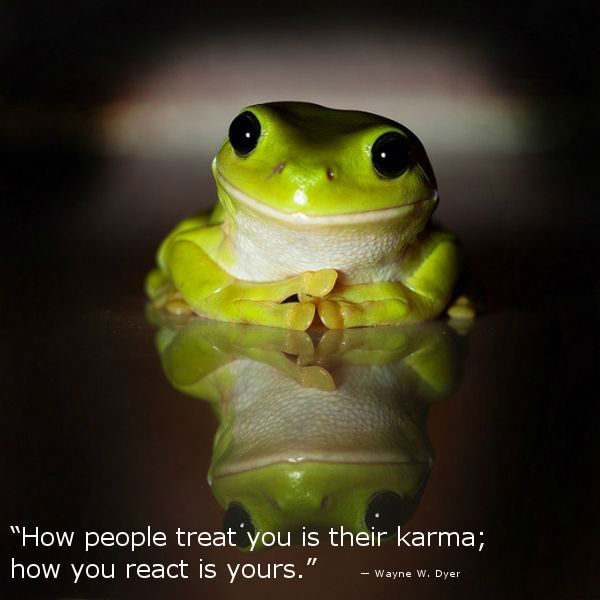 Peaceful Frog [karma photo]